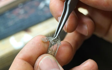 WB-13-2019-Nr-966-Felix