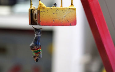 WB-07-2019-Nr-967-Bungee