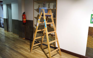 WB-03-2019-Nr-969-die Leiter