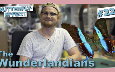 Vorlage youtube thumb TWL 22