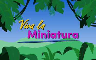 News-suedamerika-viva-la-miniatura