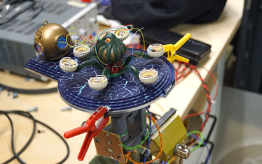 WB-12-2019-Nr-976-Polyp