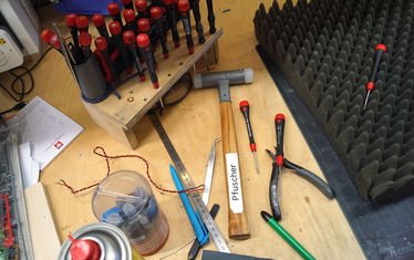 WB-13-2019-Nr-976-Tierarten