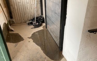 Wb 01 kw 07 2022 n 1112 Trocken