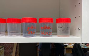 Wb 06 kw 04 2023 n 1161 wasserfarben