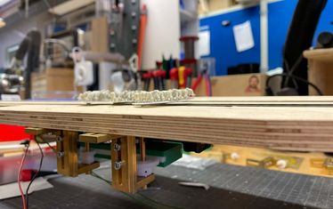 Wb 07 kw 04 2023 n 1161 schafe