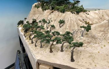 Wb 06 kw 05 2023 n 1162 bäume