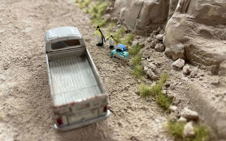 Wb 04 kw 07 2023 n 1164 pinguine patagonien