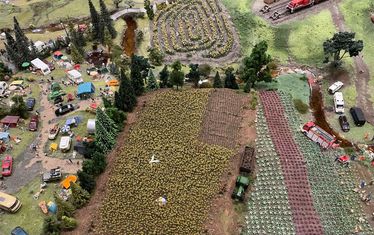 Wb 06 kw 11 2023 n 1168 sonnenblumen