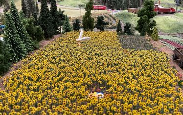 Wb 07 kw 11 2023 n 1168 amor