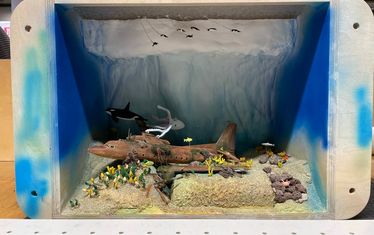 Wb 09 kw 12 2023 n 1169 Antarktis Schaukasten