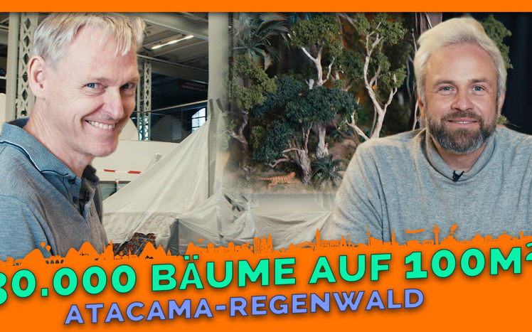 Thumbnail Atacama Regenwald Update 3