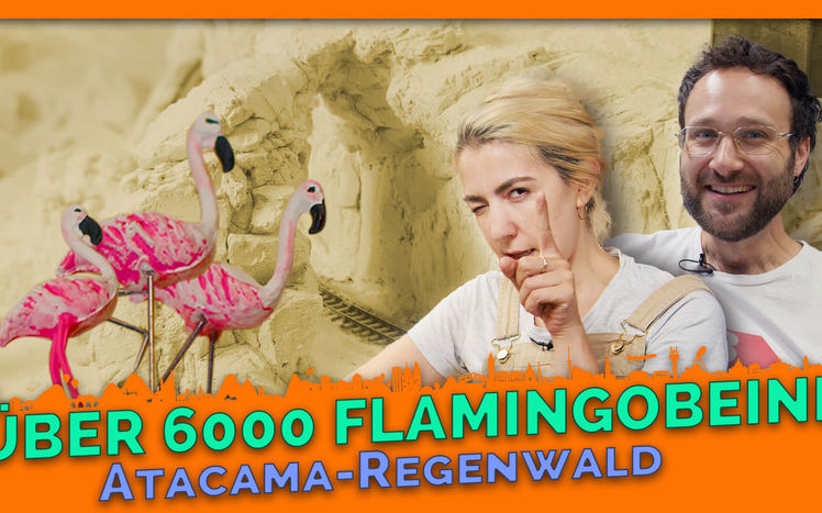 Atacama 8