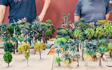 Content images jahresausblick 2025 regenwald baeume