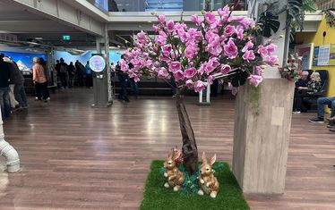 Wb 04 kw 13 2025 n 1274 Südamerika