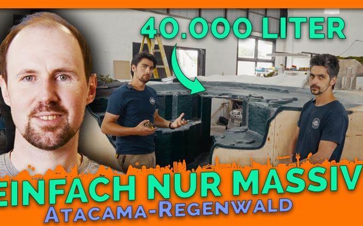 Thumbnail regenwald 20