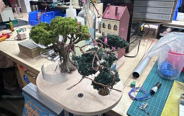 Wb 03 kw 50 2025 n 1311 regenwald