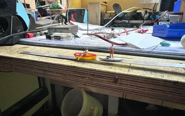 Wb 04 kw 50 2025 n 1311 regenwald