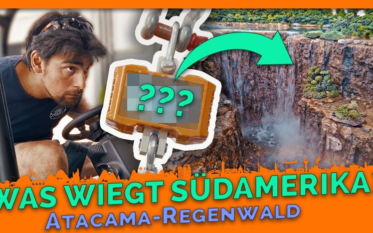 Thumbnail regendwald update 23