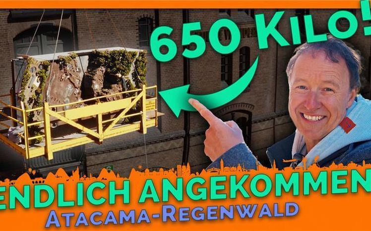 Thumbnail regenwald update 24