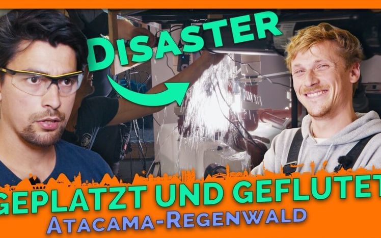 Thumbnail regenwald update 26