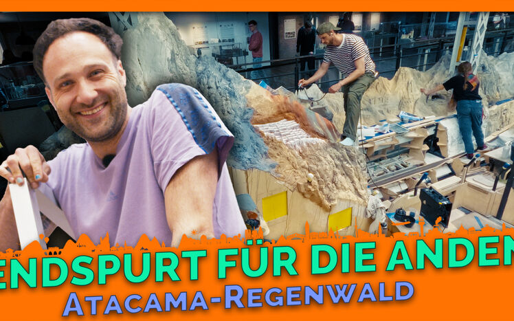 Thumbnail 21 1