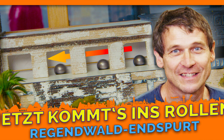 Thumbnail regenwald endspurt 1