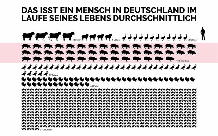 Sonderausstellung Sauwohl Infografik durchnschnittsverzehr