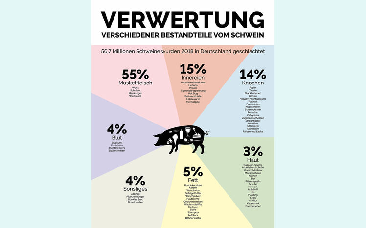Sonderausstelltung sauwohl infografik verwertung