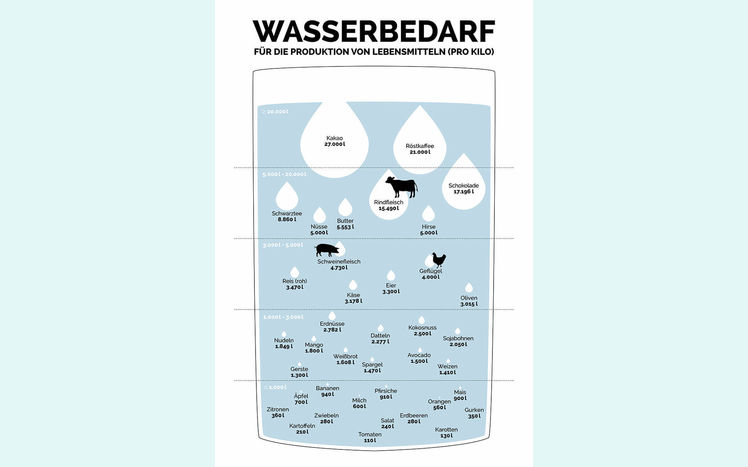 Sonderausstellung sauwohl infografik wasserbedarf