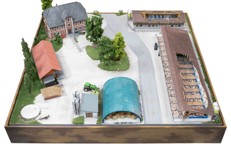Sonderausstellung sauwohl diorama 4