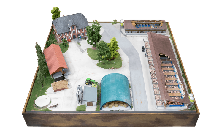 Sonderausstellung sauwohl diorama 4