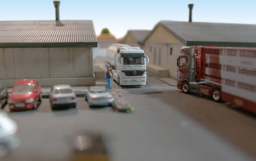 Sonderausstellung sauwohl diorama1 betrieb