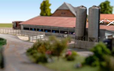 Sonderausstellung sauwohl diorama3 betrieb