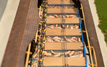 Sonderausstellung sauwohl diorama4 mast
