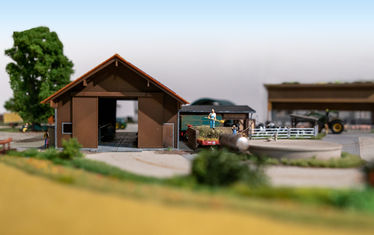 Sonderausstellung sauwohl diorama5 betrieb