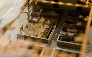 Sonderausstellung sauwohl diorama5 ferkel