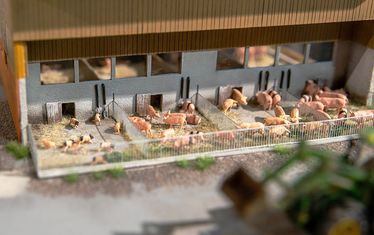 Sonderausstellung sauwohl diorama5 mast