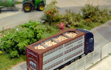 Sonderausstellung sauwohl diorama3 ferkel