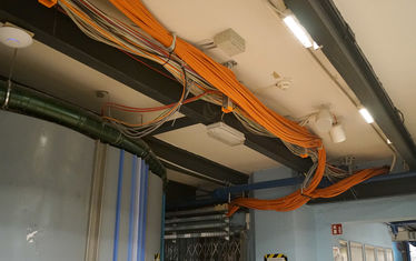 WB 06 2020 Nr 1003 Orangene Kunst