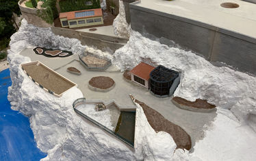 Wb 09 kw 44 2020 n 1044 Affen