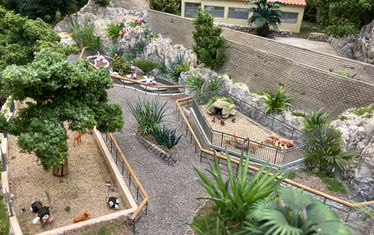 Wb 08 kw 48 2020 n 1048 zoo