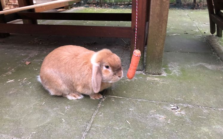 90626149 10222557116097066 882648983720165376 o