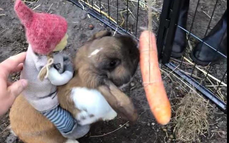 90790982 626211494612254 2947684352152043520 n