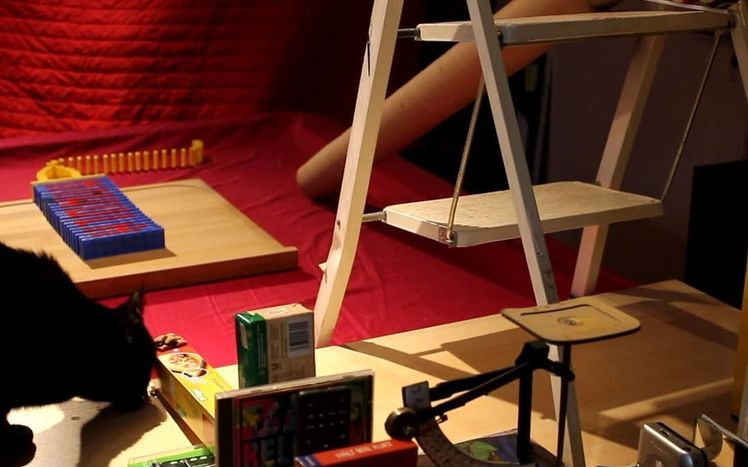 90985465 101333768165518 7640105795752267357 n