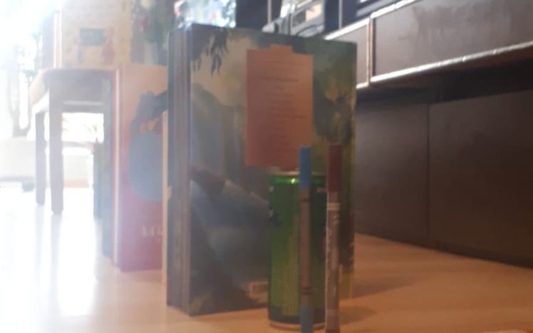 91089427 252353355930686 738146098628137852 n