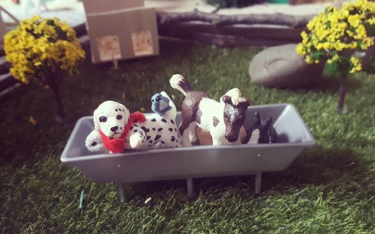 91019543 2682964295278402 1244156235176838255 n