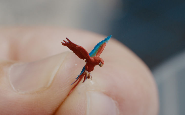 Regenwald bau pilar papagei detail