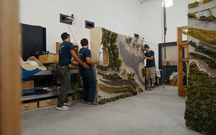 Regenwald bau pilar versand 05