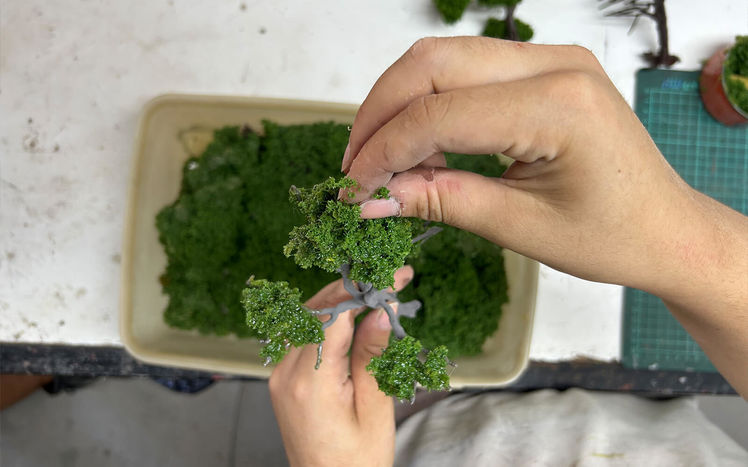 Regenwald bau baum 07